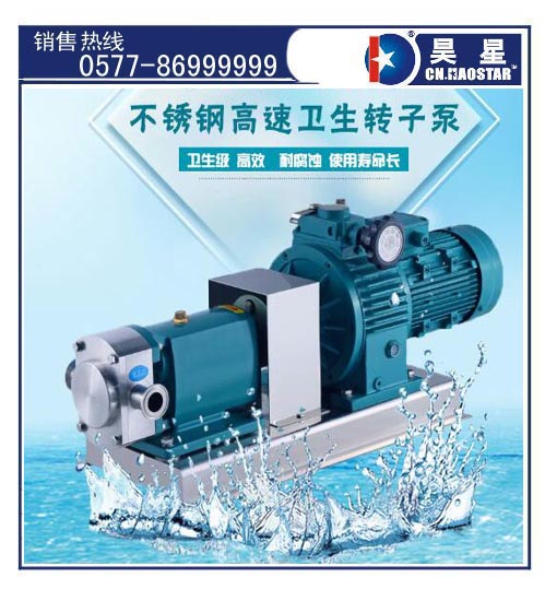 ZB3A轉(zhuǎn)子泵.jpg